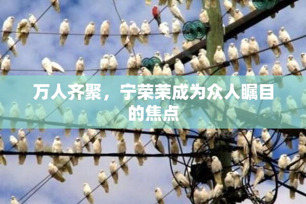 万人齐聚，宁荣荣成为众人瞩目的焦点