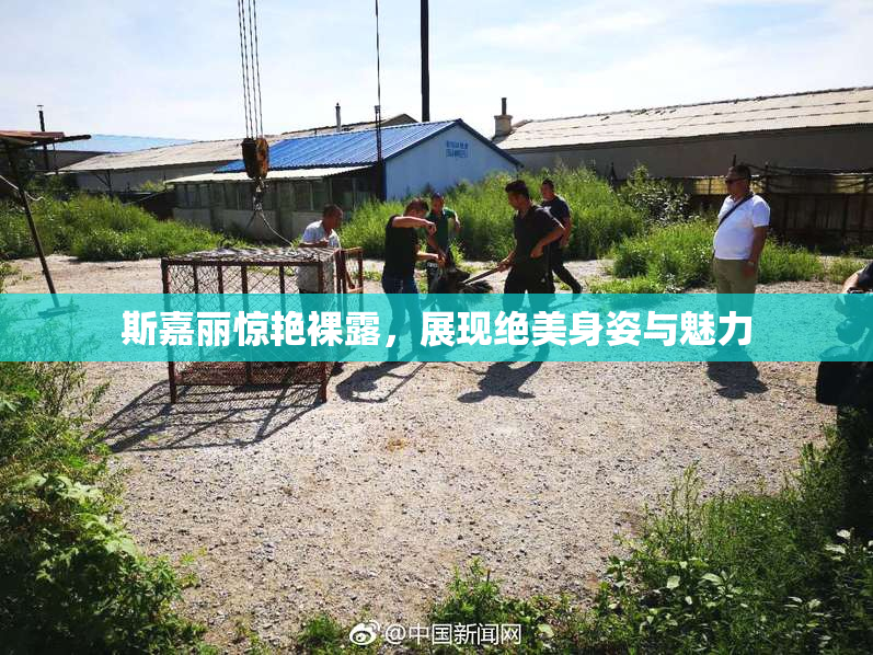 斯嘉丽惊艳裸露，展现绝美身姿与魅力