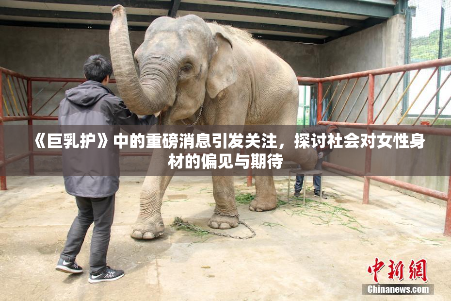 《巨乳护》中的重磅消息引发关注，探讨社会对女性身材的偏见与期待
