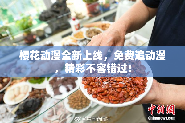 樱花动漫全新上线，免费追动漫，精彩不容错过！