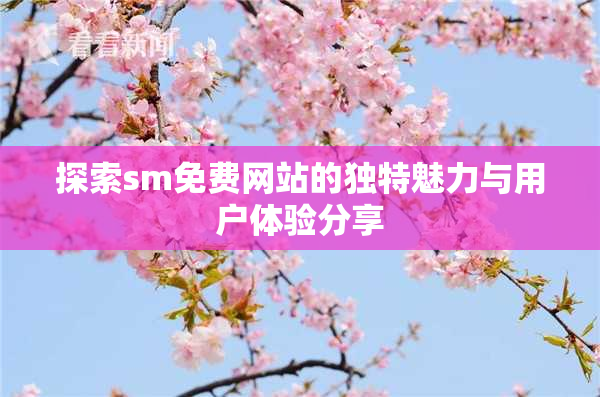 探索sm免费网站的独特魅力与用户体验分享