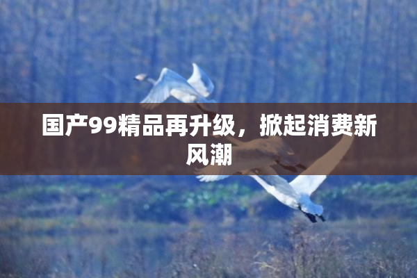 国产99精品再升级，掀起消费新风潮