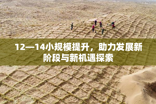 12—14小规模提升，助力发展新阶段与新机遇探索