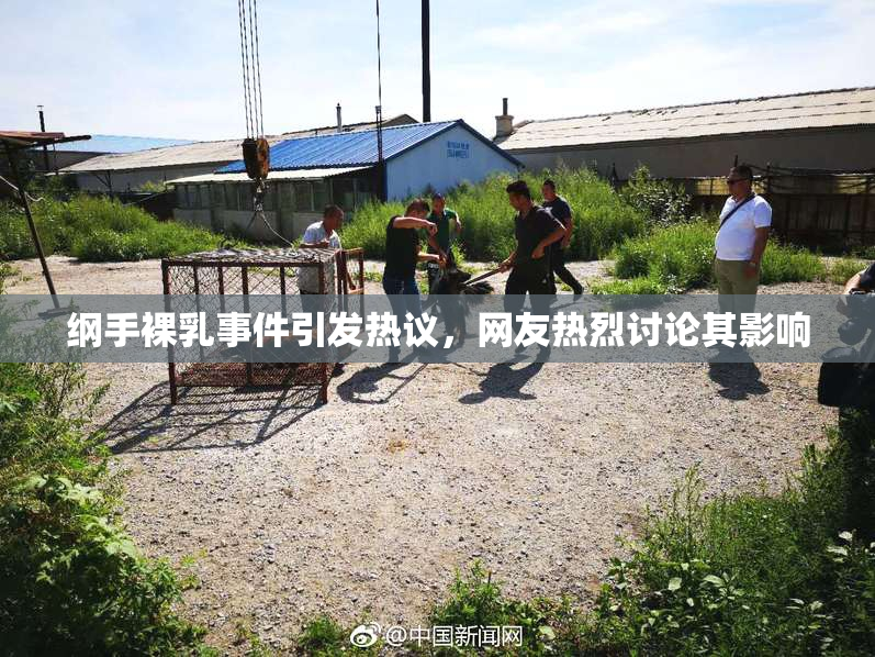 纲手裸乳事件引发热议，网友热烈讨论其影响