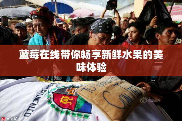蓝莓在线带你畅享新鲜水果的美味体验