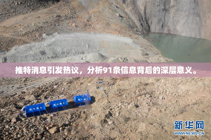 推特消息引发热议，分析91条信息背后的深层意义。
