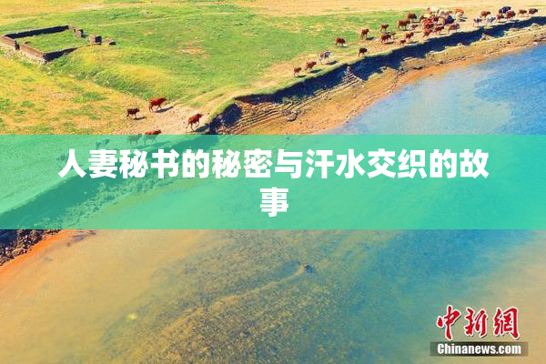 人妻秘书的秘密与汗水交织的故事