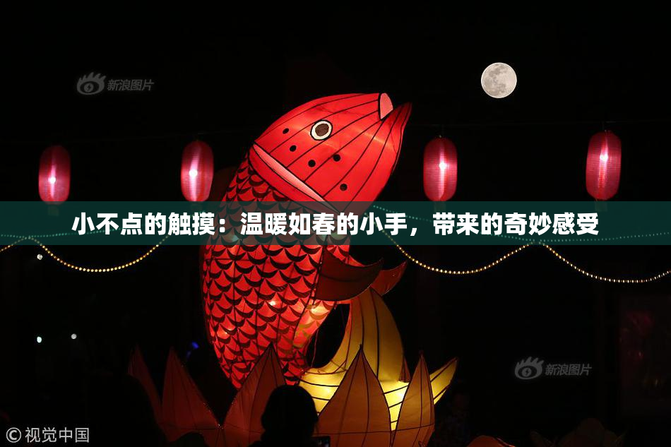 小不点的触摸：温暖如春的小手，带来的奇妙感受