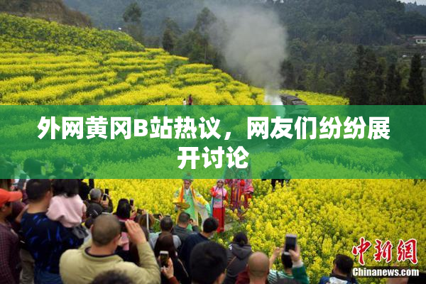 外网黄冈B站热议，网友们纷纷展开讨论