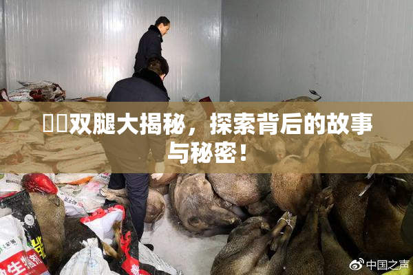 妺妺双腿大揭秘，探索背后的故事与秘密！