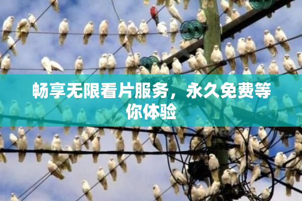 畅享无限看片服务，永久免费等你体验