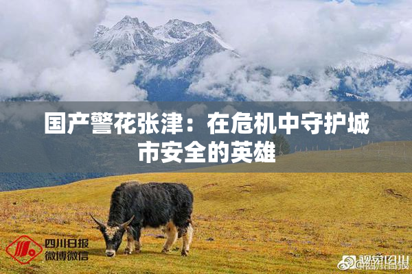 国产警花张津：在危机中守护城市安全的英雄