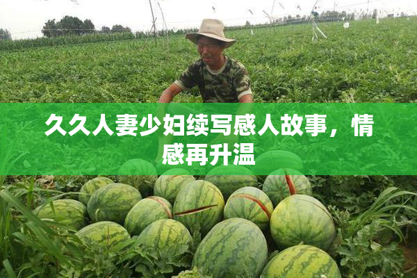 久久人妻少妇续写感人故事，情感再升温