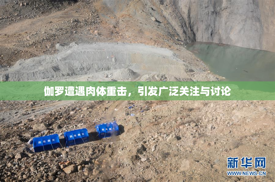 伽罗遭遇肉体重击，引发广泛关注与讨论