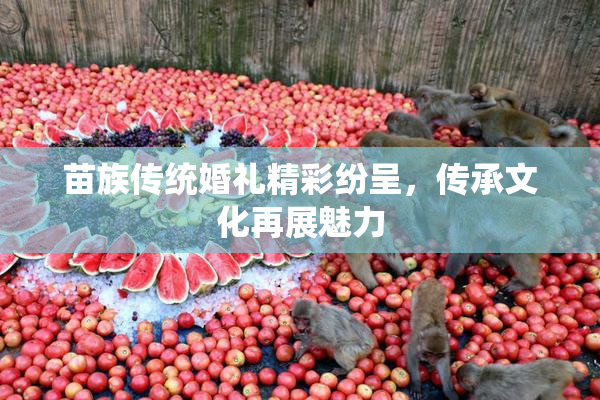 苗族传统婚礼精彩纷呈，传承文化再展魅力