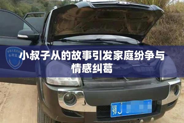 小叔子从的故事引发家庭纷争与情感纠葛