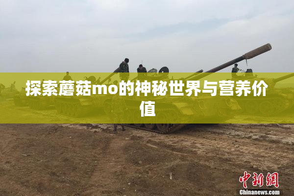 探索蘑菇mo的神秘世界与营养价值