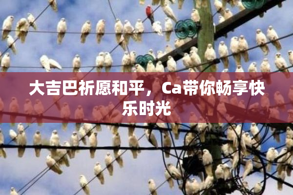 大吉巴祈愿和平，Ca带你畅享快乐时光