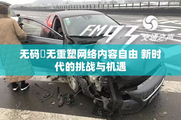 无码囯无重塑网络内容自由 新时代的挑战与机遇