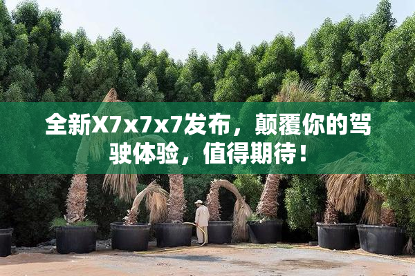 全新X7x7x7发布，颠覆你的驾驶体验，值得期待！