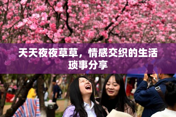 天天夜夜草草，情感交织的生活琐事分享