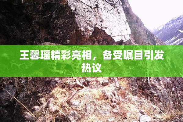 王馨瑶精彩亮相，备受瞩目引发热议