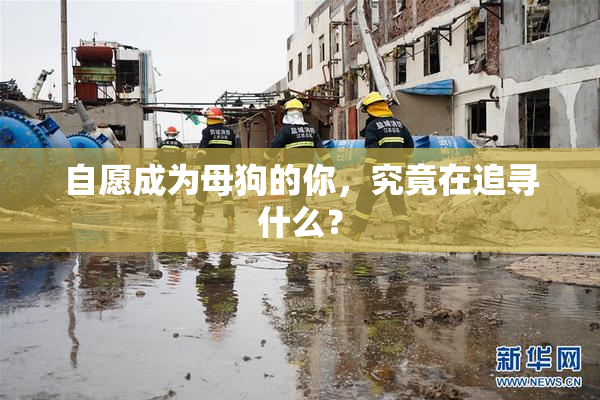 自愿成为母狗的你，究竟在追寻什么？