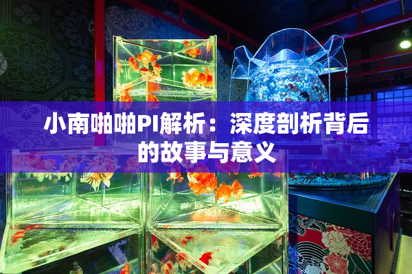 小南啪啪PI解析：深度剖析背后的故事与意义