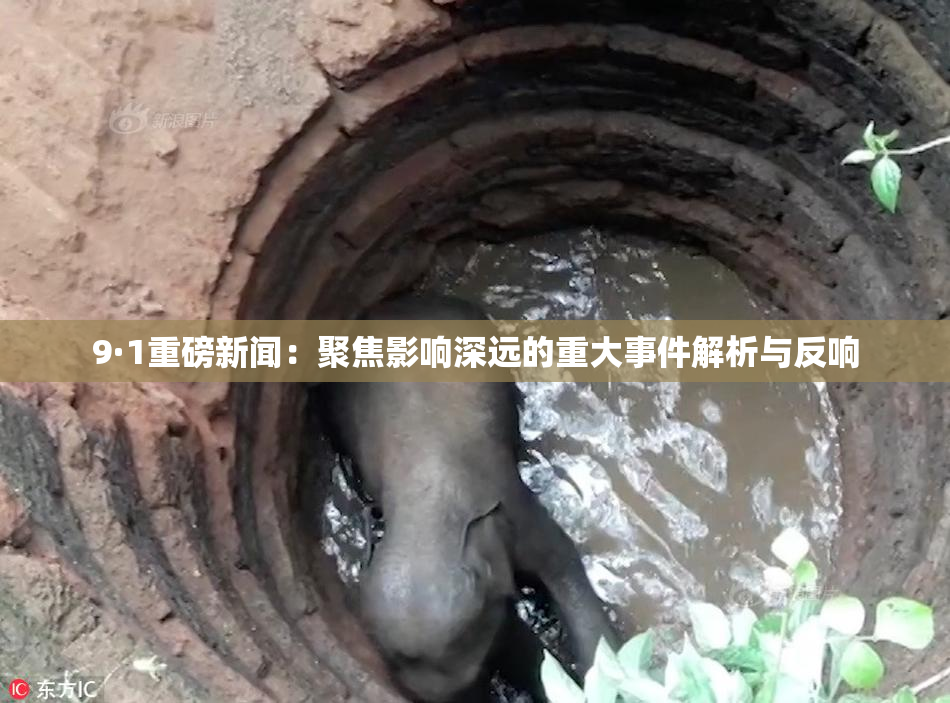 9·1重磅新闻：聚焦影响深远的重大事件解析与反响