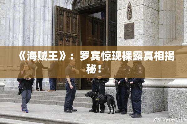 《海贼王》：罗宾惊现裸露真相揭秘！