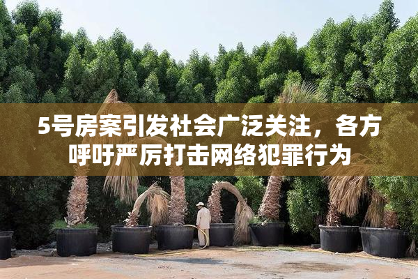 5号房案引发社会广泛关注，各方呼吁严厉打击网络犯罪行为
