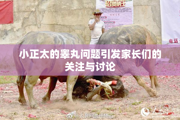 小正太的睾丸问题引发家长们的关注与讨论