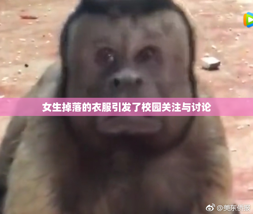 女生掉落的衣服引发了校园关注与讨论