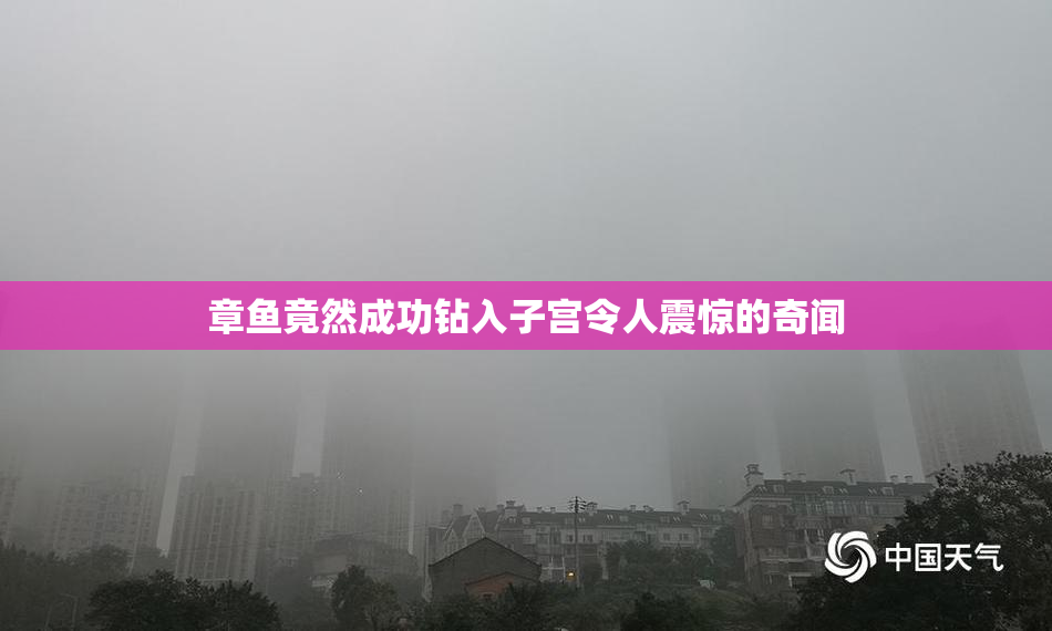 章鱼竟然成功钻入子宫令人震惊的奇闻