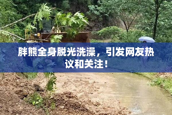 胖熊全身脱光洗澡，引发网友热议和关注！