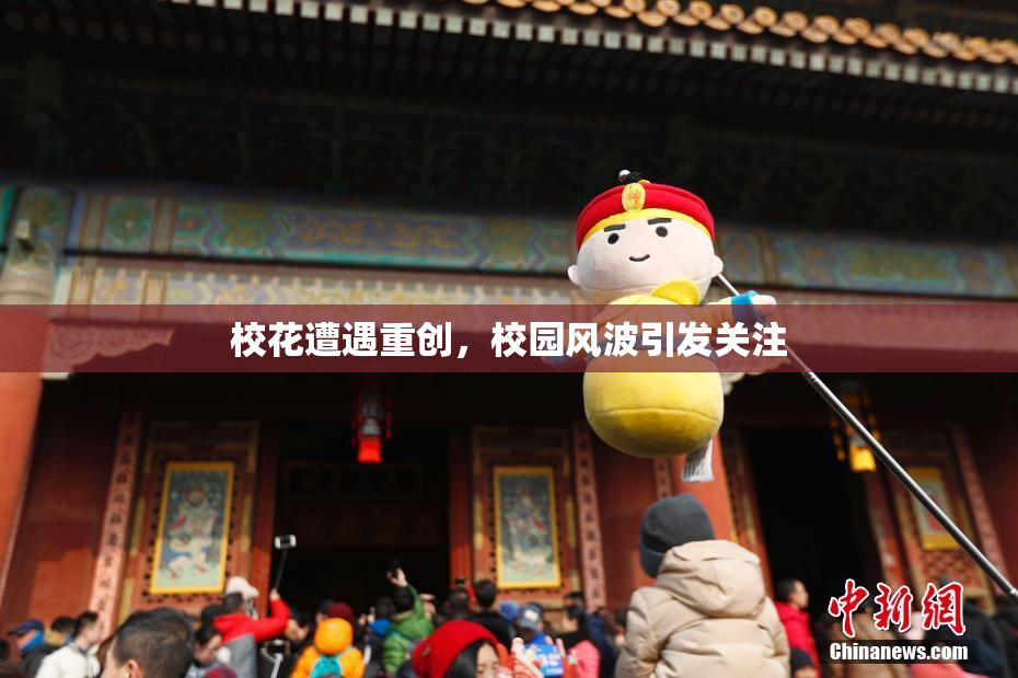 校花遭遇重创，校园风波引发关注