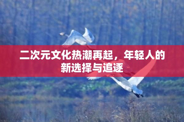 二次元文化热潮再起，年轻人的新选择与追逐