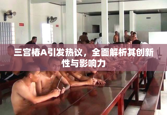 三宫椿A引发热议，全面解析其创新性与影响力