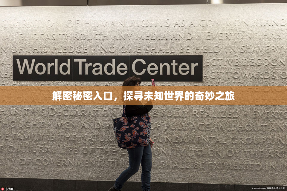 解密秘密入口，探寻未知世界的奇妙之旅