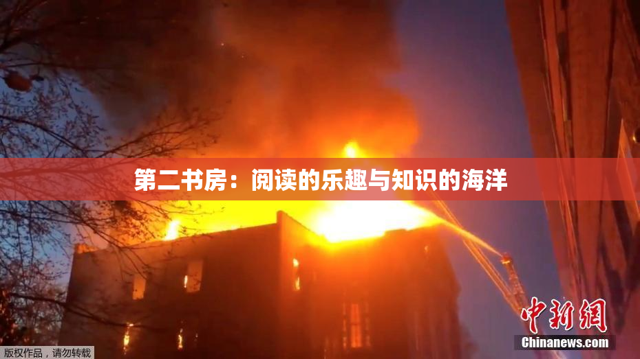 第二书房：阅读的乐趣与知识的海洋