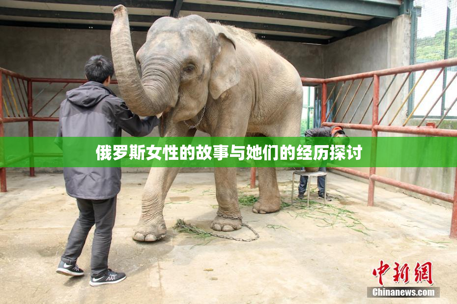 俄罗斯女性的故事与她们的经历探讨