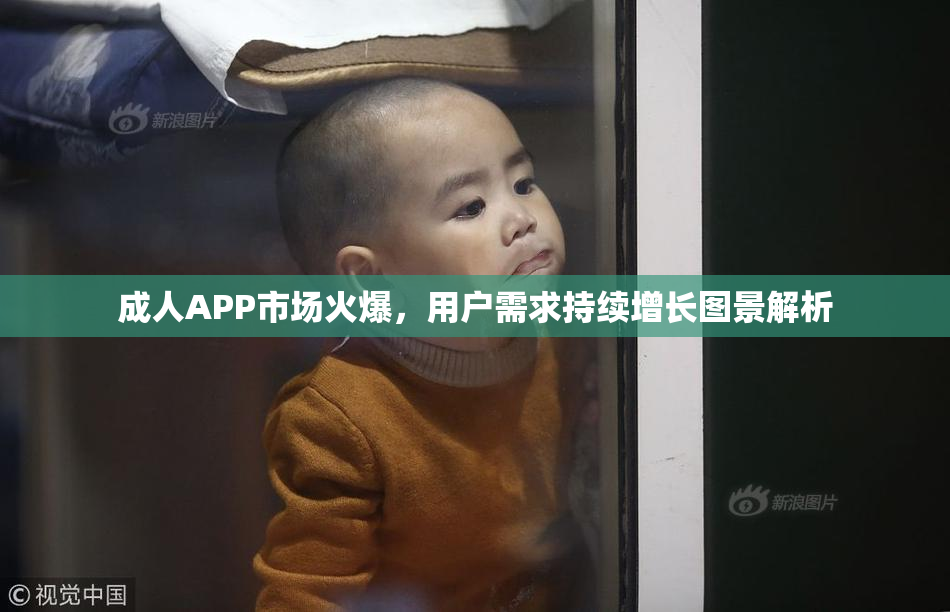成人APP市场火爆，用户需求持续增长图景解析