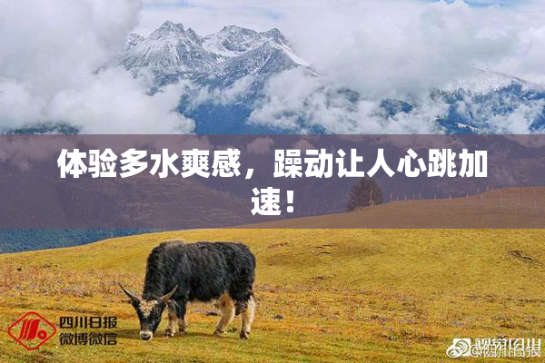 体验多水爽感，躁动让人心跳加速！