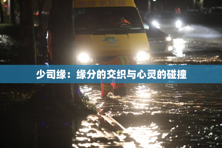 少司缘：缘分的交织与心灵的碰撞