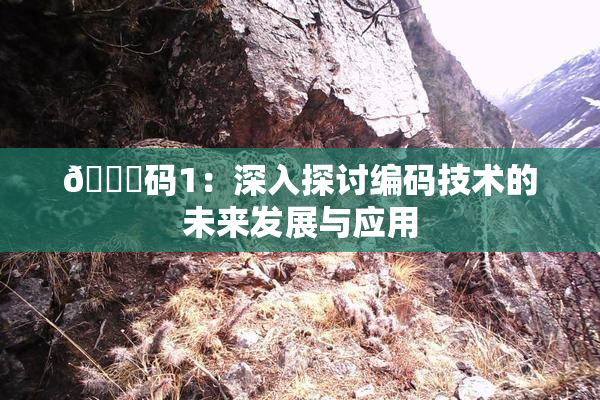 🈚码1：深入探讨编码技术的未来发展与应用