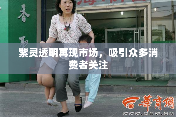 紫灵透明再现市场，吸引众多消费者关注
