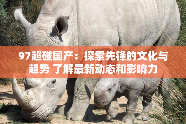 97超碰国产：探索先锋的文化与趋势 了解最新动态和影响力