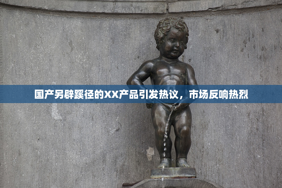 国产另辟蹊径的XX产品引发热议，市场反响热烈