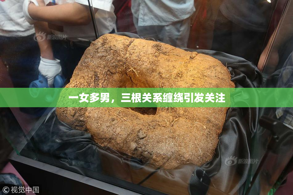 一女多男，三根关系缠绕引发关注