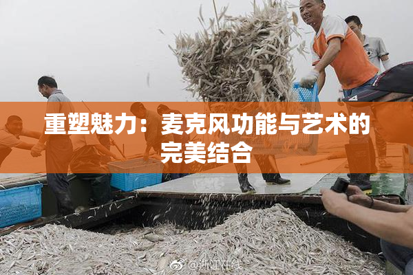 重塑魅力：麦克风功能与艺术的完美结合